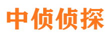 应城外遇调查取证